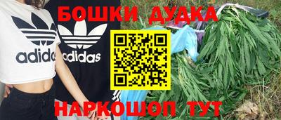 ПСИЛОЦИБИНОВЫЕ ГРИБЫ Донской